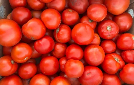 Продам помідори