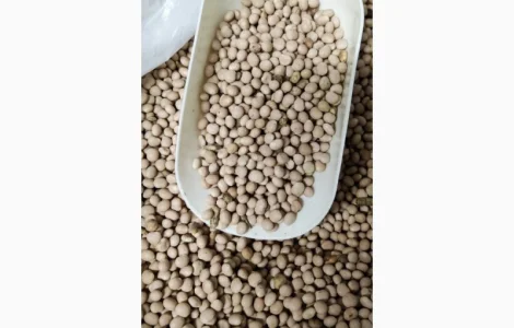 Продам люпин кристал