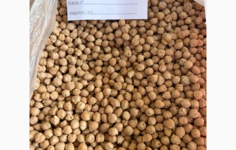 Продам нут