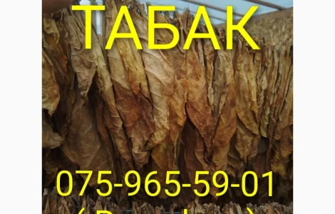Тютюн Опт/Розница Лапша Пахуч