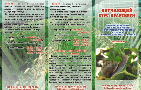 Улиточная ферма методом "Шторного Занавеса". Обучающий курс - практикум