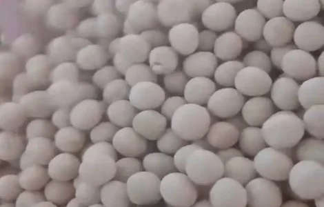 Насіння зимуючих жовтих горохів