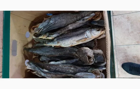 Продам сом