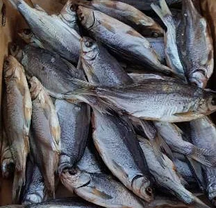 Продам вяленую и копченую рыбу в ассортименте. Опт. Чищенная