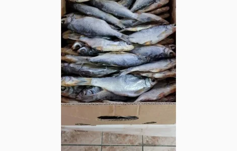 Продам тарань вяленную 125грн/кг. 130грн/кг. 170грн/кг. Опт