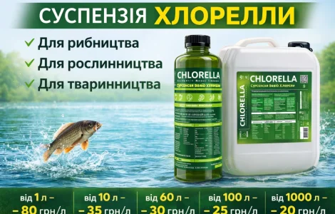 Суспензія Хлорелли від виробника. Живий планктонний штамм
