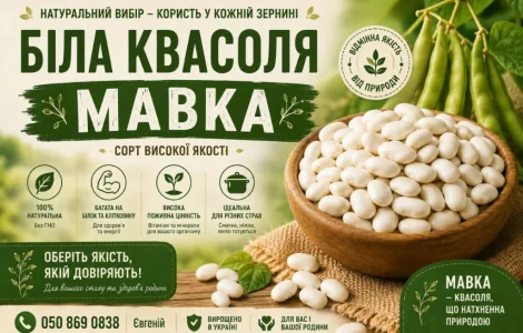 Продаж квасолі Біла мавка(рисовка)