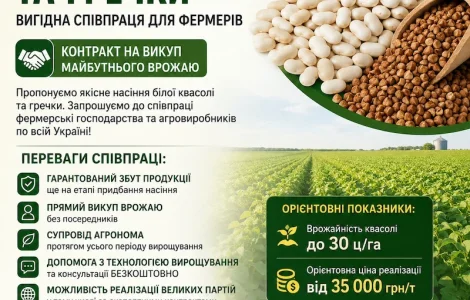 Семена фасоли и гречки - выгодное сотрудничество для фермеров