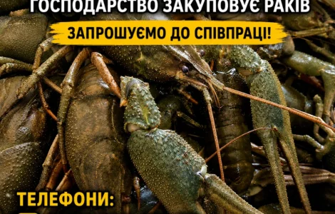 Закуповуємо Рака