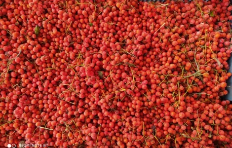 Продам горобину заморожену