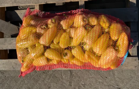 Продам перец белозерка