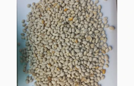 Продадим белую фасоль