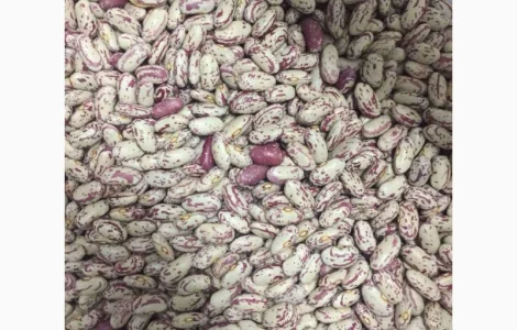 Продам фасоль разных сортов