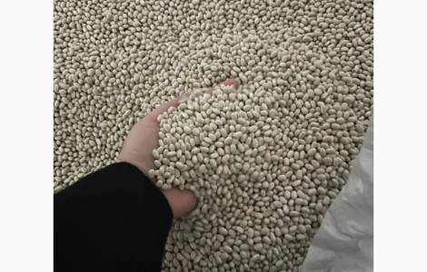 Квасоля белая Navy beans на экспорт