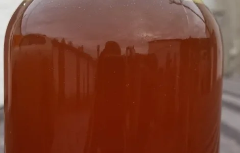 Куплю рапсовое масло