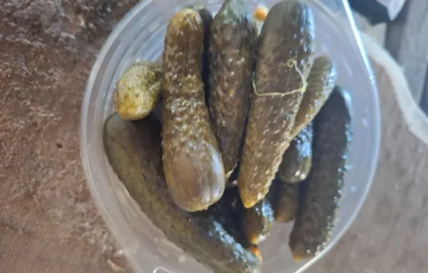 Продам квашений Огірок