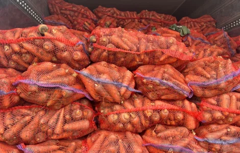 Продам морковь Каскад