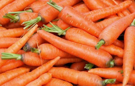 Куплю моркву