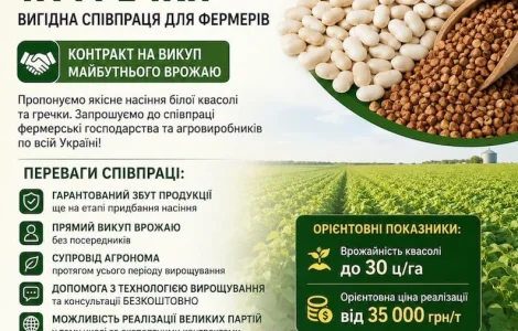 Посевной материал фасоли и гречки с контрактом на выкуп урожая