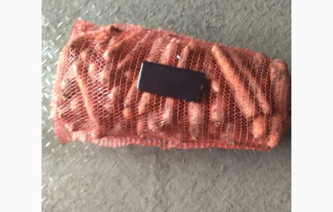 Продам гуртом морковь