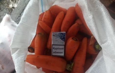 Продам миту моркву