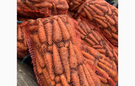 Продам товарную морковь