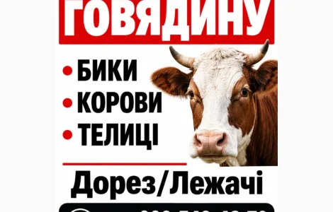 Куплю Говядину