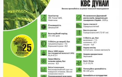 Продам семена озимого Ячменя сорт КВС Дунай