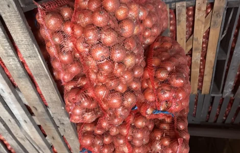 Продаем желтый лук оптом