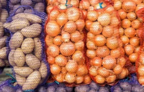 Куплю Цибулю та Картоплю з поля в сітках