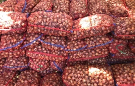 Продам лук не крупный