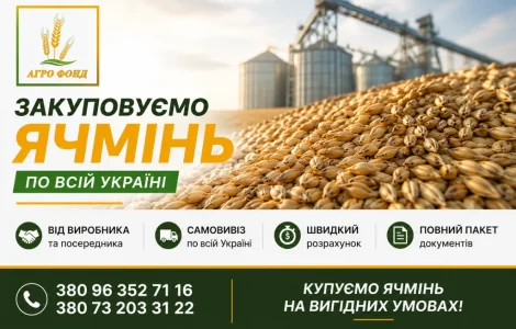 Закупівля ячменю по Україні | Купимо ячмінь від виробника та посередника