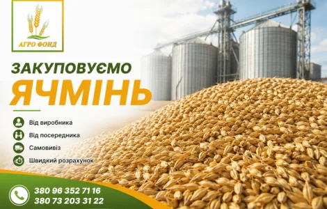 Купимо ячмінь дорого | Закупівля ячменю по всій Україні