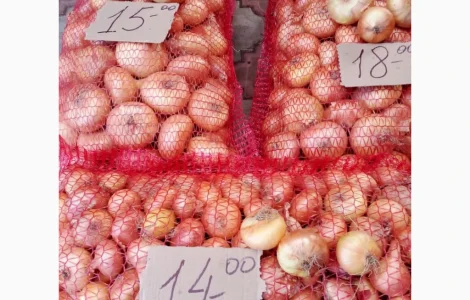 Продам цибулю Штутгард на перо