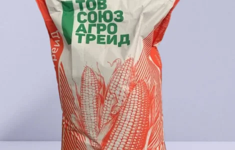 Семена кукурузы ДБ Хотин ФАО 280. ОТ ПРОИЗВОДИТЕЛЯ.