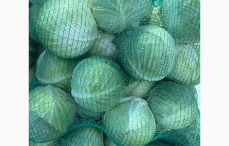 Продам капусту