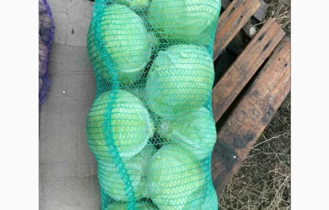 Капуста товарная