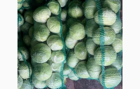 Продам товарну капусту