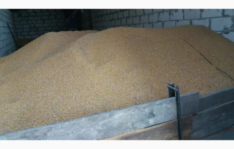 Продажа кукурузы