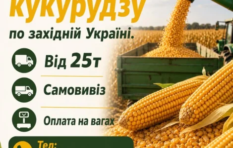 Куплю кукурудзу на постійній основі