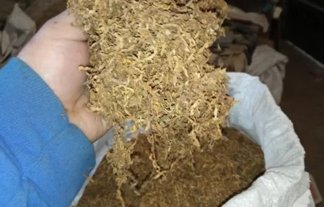 Продам очень хороший табак Вирджиния