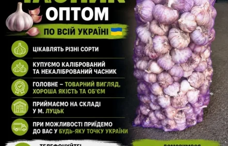 Купаем чеснок оптом по всей Украине
