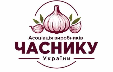 Экспорт чеснока