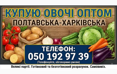 Куплю картоплю обʼємом