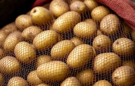 Куплю Картошку