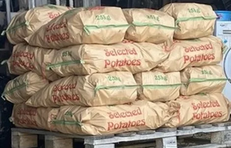 Продажа картопля партія от хозяйства оптом от 5 тонн Хмельницкая обл