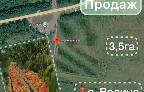 Продаж готового агробізнесу біля кордону з Польщею | Персиковий сад 3