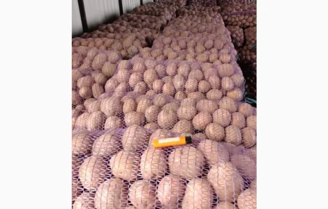 Продам картошку оптом