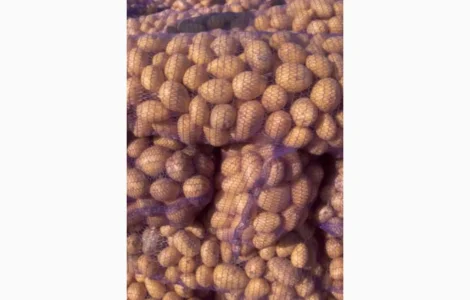 Продам Картоплю Мікадо; Сорая