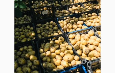 Продам молоду картоплю з поля